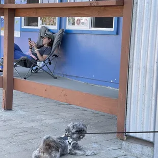 a man sitting in a chair with a dog on a leash