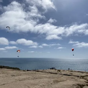 a group of people flying kites