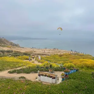 The view