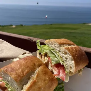 Chicken Acapulco Wind Sandwich