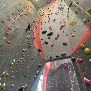 Nice, tall auto belay walls