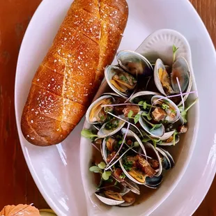 Clams