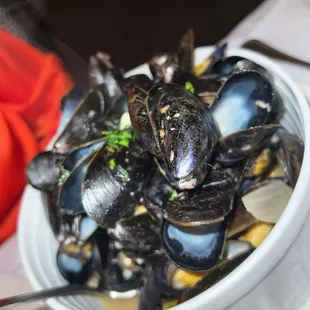 oysters and mussels, mussels, food, shellfish, oysters