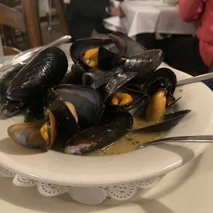 Steamed Mussels - appetizer