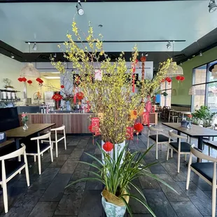 Lunar New Year decorations