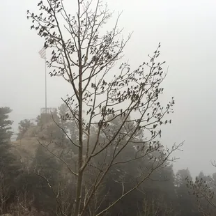 View from above the clouds