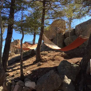 Hammocks perched up high.