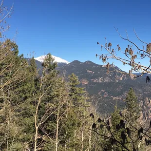 Pike's peak