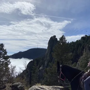 Riding the mules above the clouds.