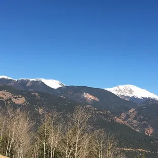 View from the hammock.