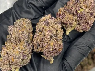 Sweet Mother of Grapes