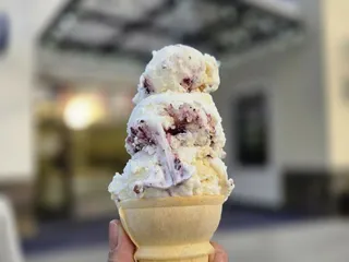 Handel’s Homemade Ice Cream