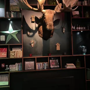 a moose head mounted on the wall