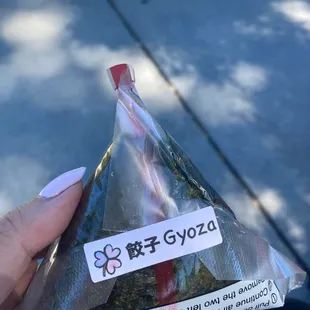 Gyoza onigiri
