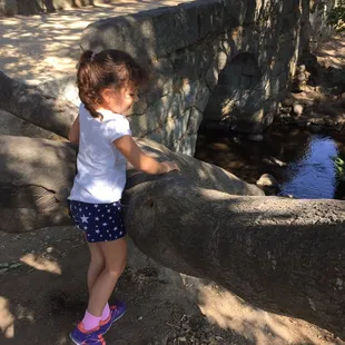 Cute little creek here! Park in the street and walk over this little bridge to enter the park.