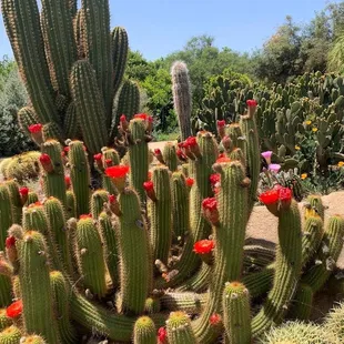 Clovis Botanical Garden 04.29.22