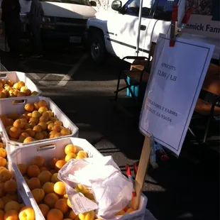 Apricots