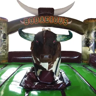 Bodacious the Bull