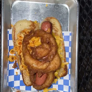 Three Ring Circus Dog