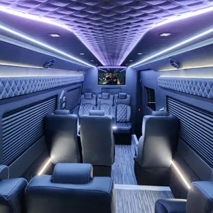 13-14 Pax executive Sprinter Interior