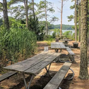 Picnic tables