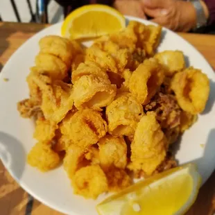 Fried Calamari