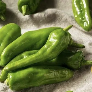 Melrose Pepper Salad