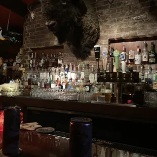 a buffalo head mounted on a brick wall