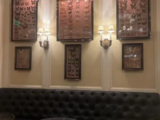 The Butterfly Lounge