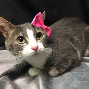 Diva time after her spa day!