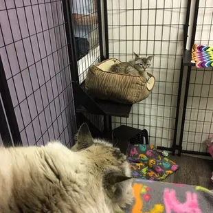 Lounge time in the boarding room