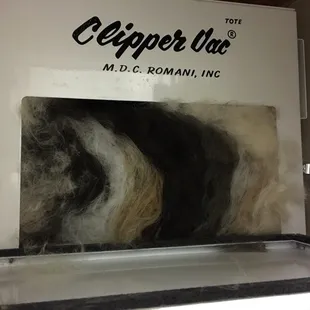 Only 4 days of de-shedding cats produced this hair!!!