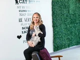 The Grand Feline Hotel And Salon