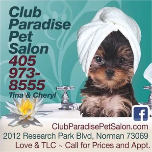 Call or TEXT for your free friendly quote