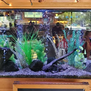Aquarium