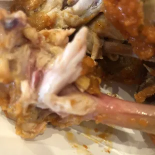 Look at the pink bone in my Flock of Wings