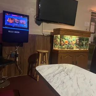 Fish tank and tv screen