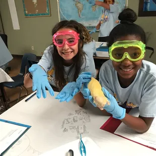 Dissecting a rat......FUN!