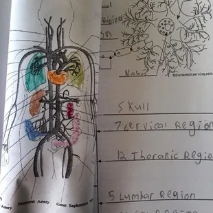 Great 3rd grade appropriate lessons.  Not teaching to the test like so many schools do.