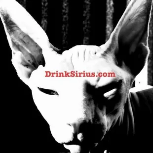 DrinkSirius.com