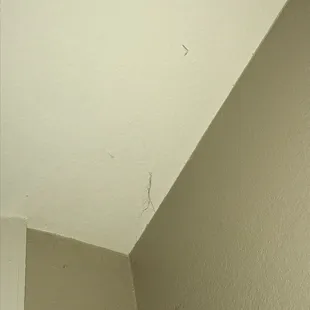 cobwebs hanging off the ceiling in dining room