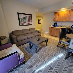 Living room and kitchenette