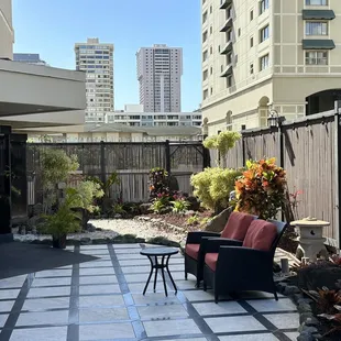 The Japanese garden.