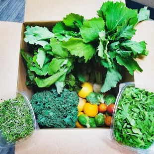 Produce from Cluck It Farm, Las Vegas, NV