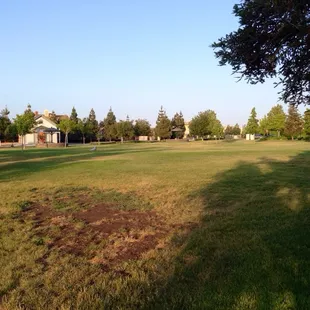Large open grass area