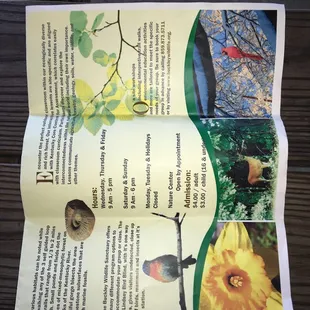 Brochure