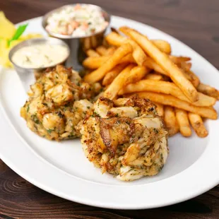 oysters and mussels, food, mussels, oysters, shellfish