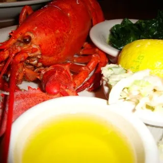 Maine Lobster