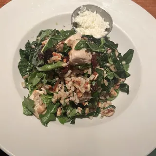 Grilled Chicken Salad