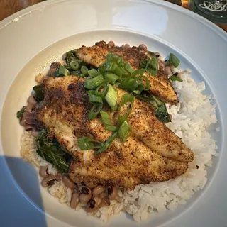 Chesapeake Wild Blue Catfish